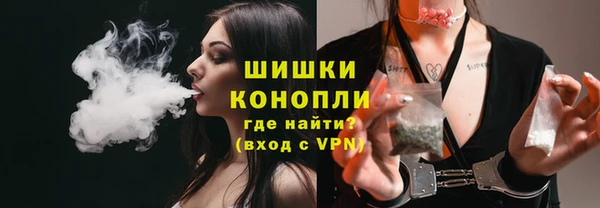 крисы Инта