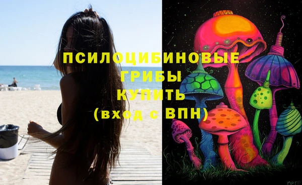 винт Баксан