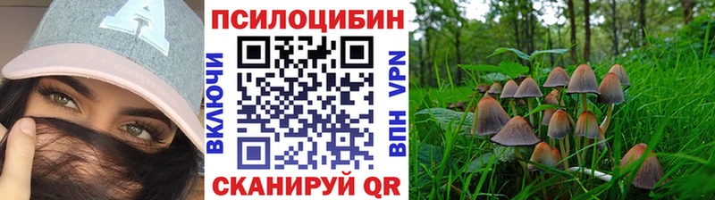 дарнет шоп  Нижняя Тура  Галлюциногенные грибы GOLDEN TEACHER 
