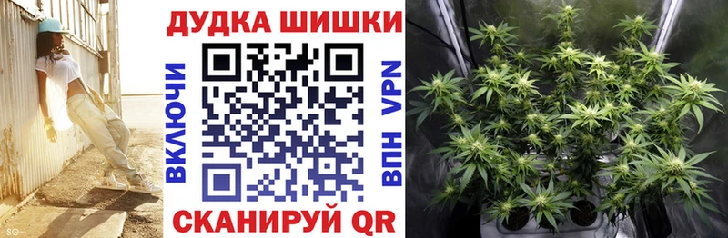 Конопля сатива  Нижняя Тура 